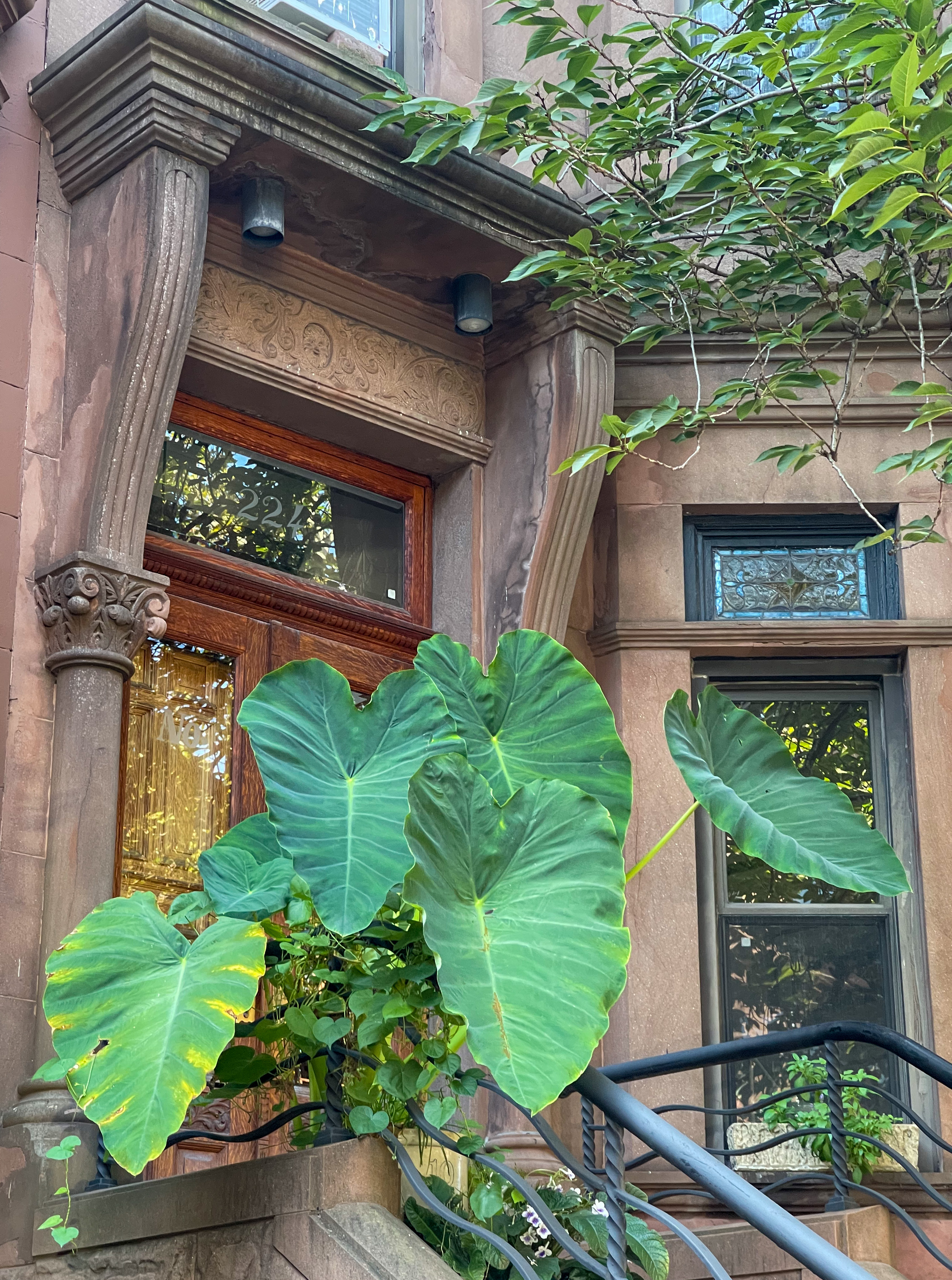 Benedetta, una milanese a Park Slope